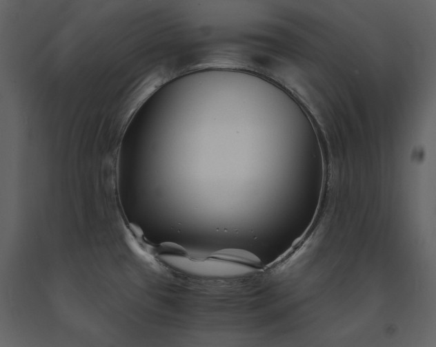 X0000091221433200708231620