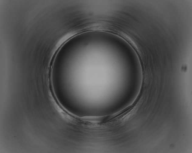 X0000091221434200708231620