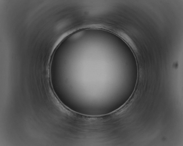 X0000091221436200708231620