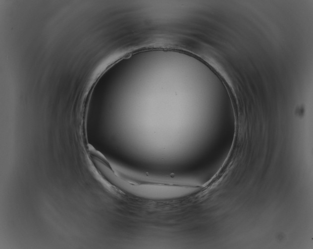 X0000091221437200708231620