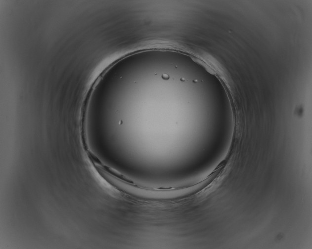 X0000091221438200708231620