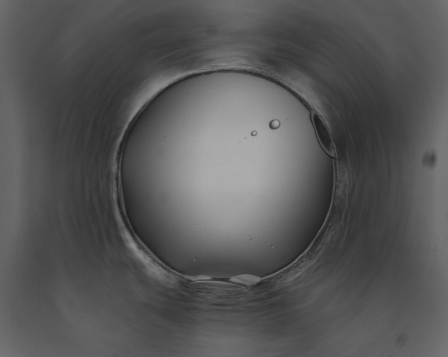 X0000091221439200708231620