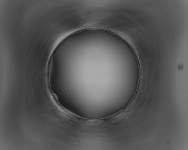 X0000091221440200708231620