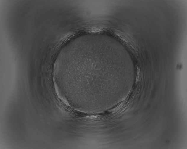 X0000091221441200708231620