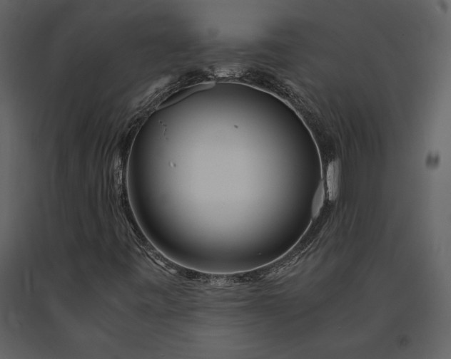 X0000091221443200708231620