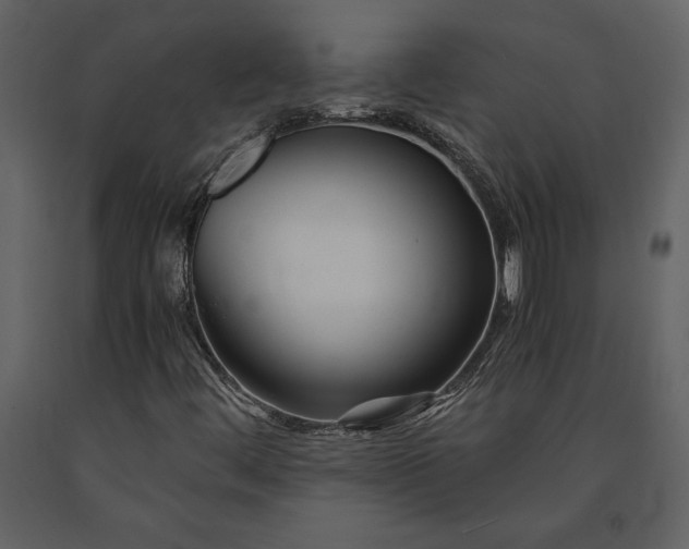 X0000091221444200708231620