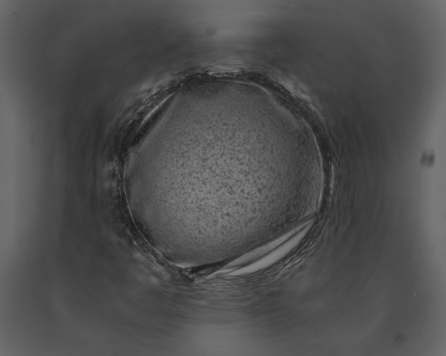 X0000091221445200708231620