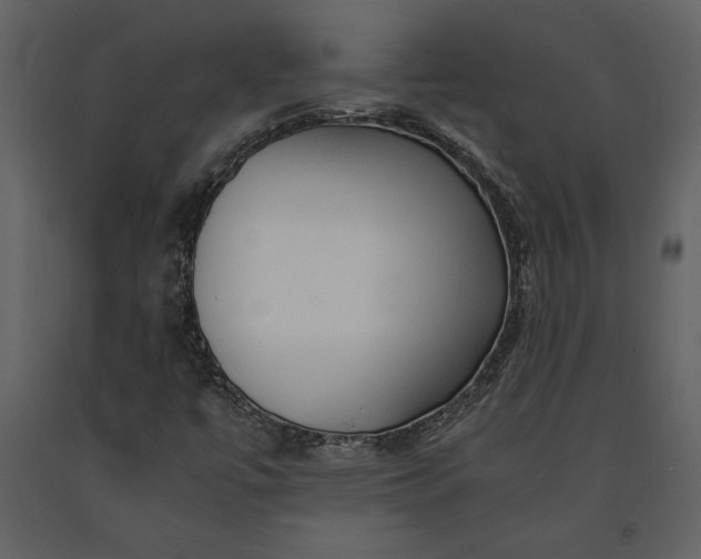 X0000091221447200708231620