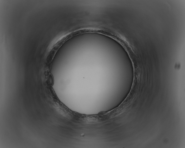 X0000091221448200708231620