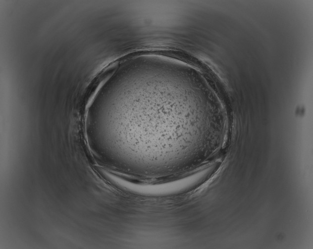 X0000091221449200708231620