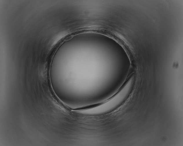 X0000091221450200708231619