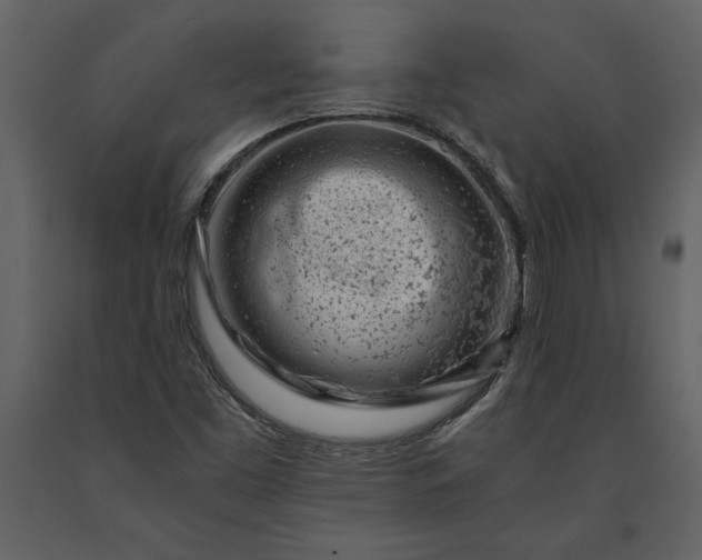 X0000091221453200708231619