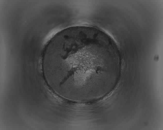 X0000091221455200708231619
