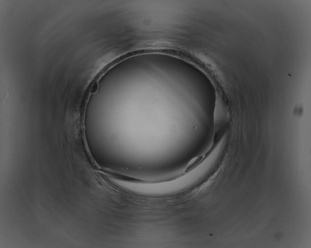 X0000091221457200708231619