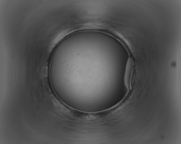 X0000091221459200708231619