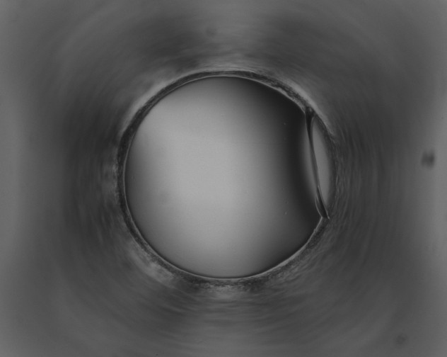 X0000091221460200708231619