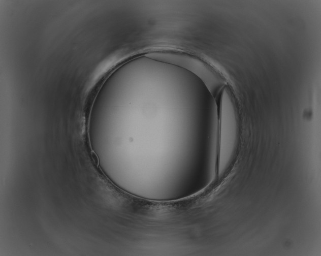 X0000091221461200708231619