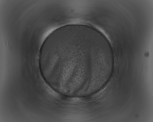 X0000091221463200708231619