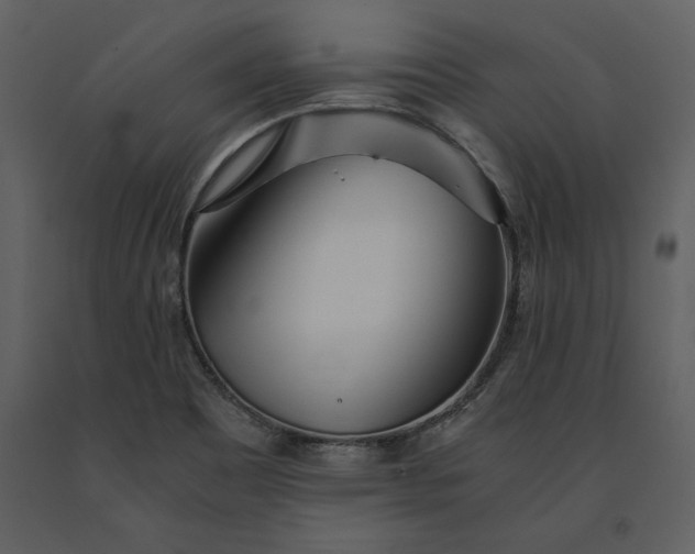 X0000091221465200708231619