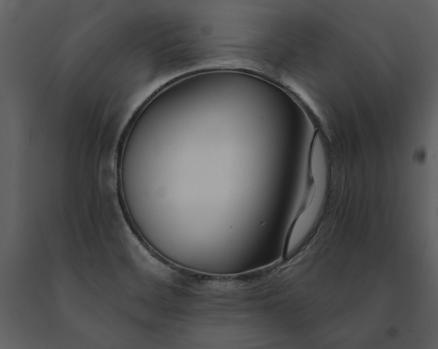 X0000091221468200708231619