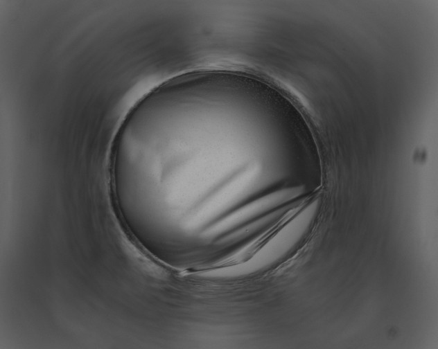 X0000091221471200708231619