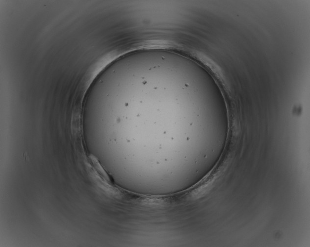 X0000091221473200708231619