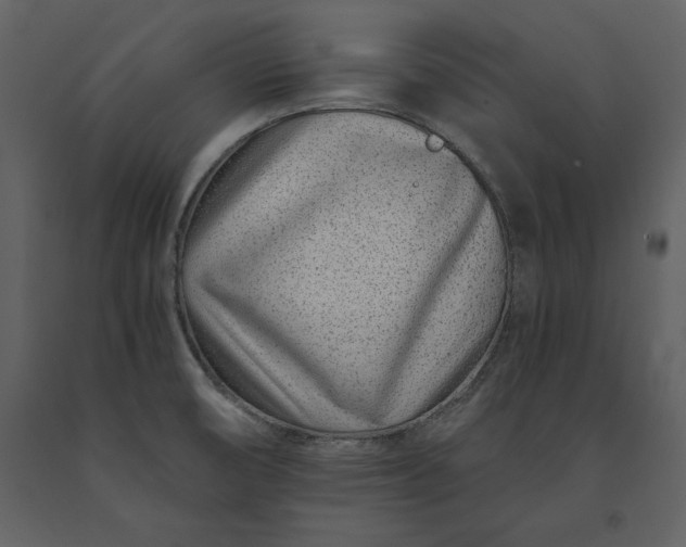 X0000091221474200708231619