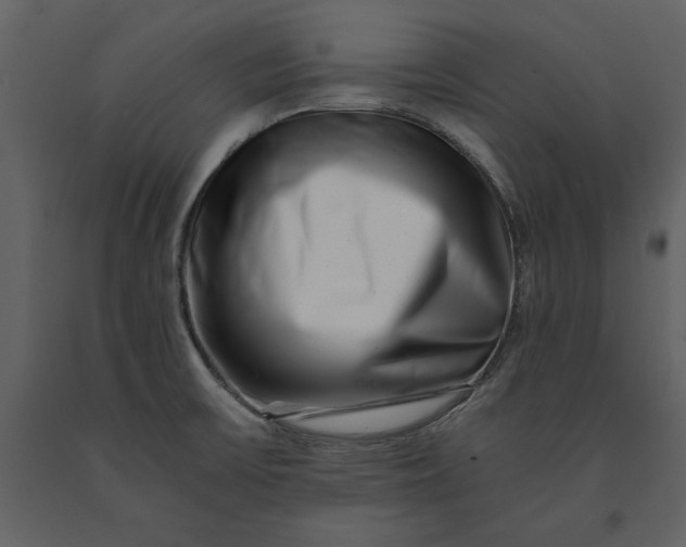 X0000091221475200708231619