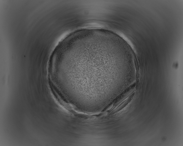 X0000091221477200708231619