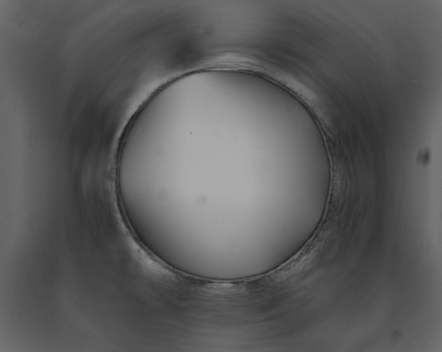 X0000091221478200708231619