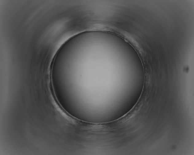 X0000091221479200708231619