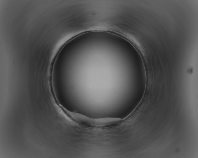 X0000091221480200708231619