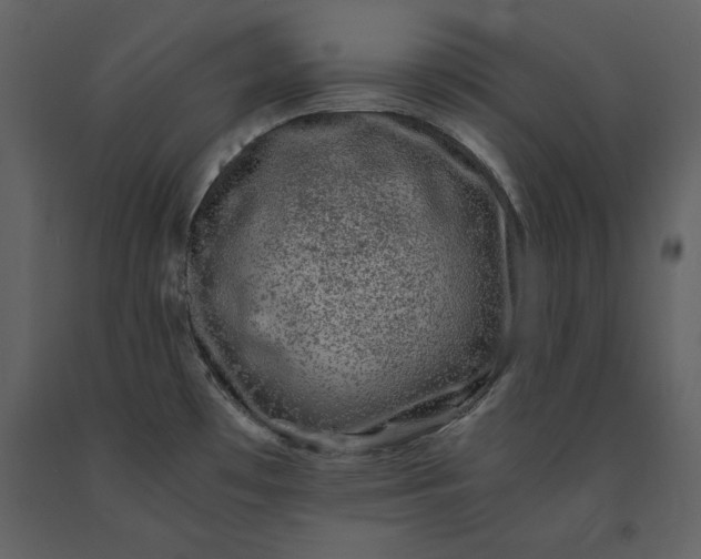 X0000091221481200708231619