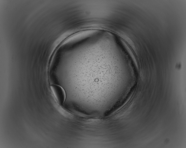 X0000091221482200708231619