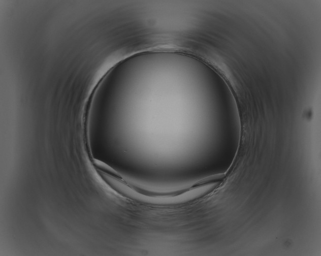 X0000091221483200708231619