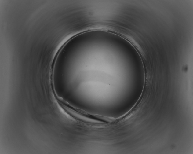 X0000091221484200708231619