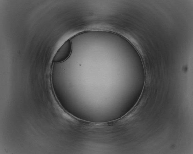 X0000091221486200708231619