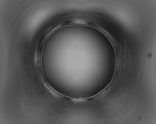 X0000091221487200708231619