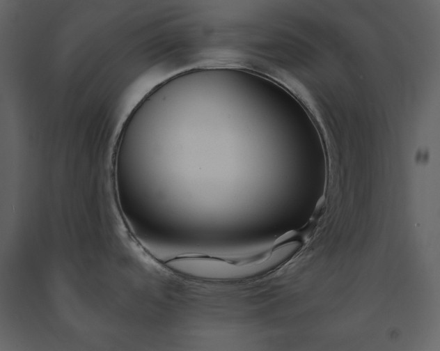 X0000091221488200708231619