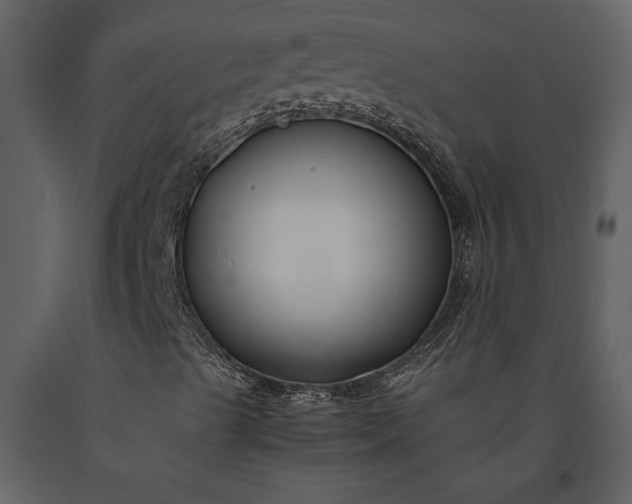 X0000091221489200708231618