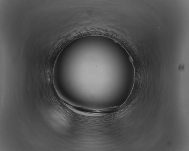 X0000091221490200708231618