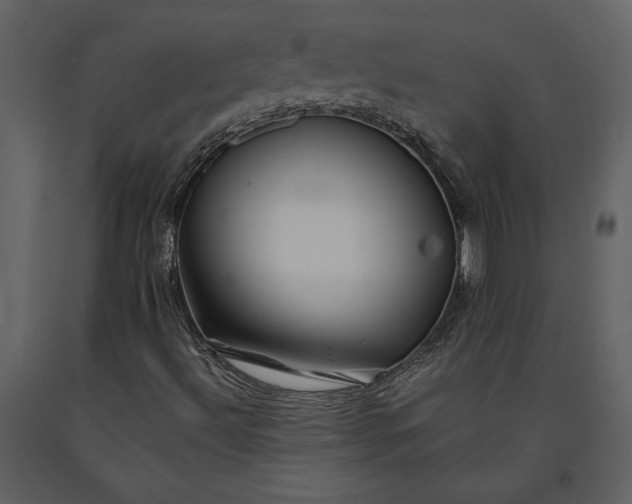 X0000091221492200708231618