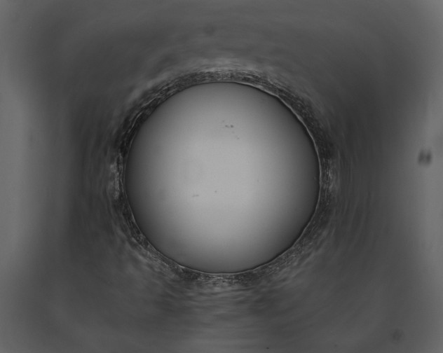 X0000091221493200708231618