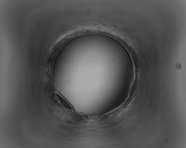 X0000091221494200708231618