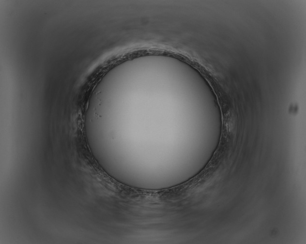 X0000091221495200708231618