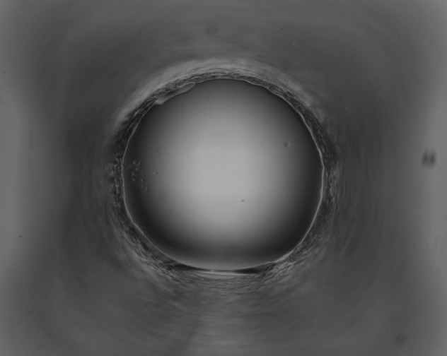 X0000091221496200708231618