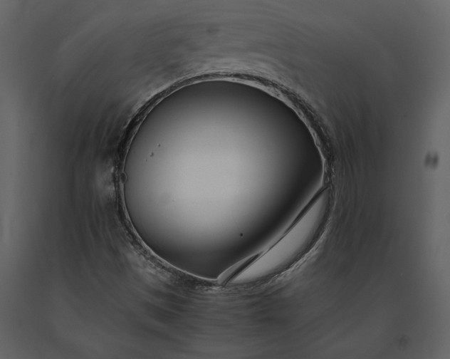 X0000091221497200708231618