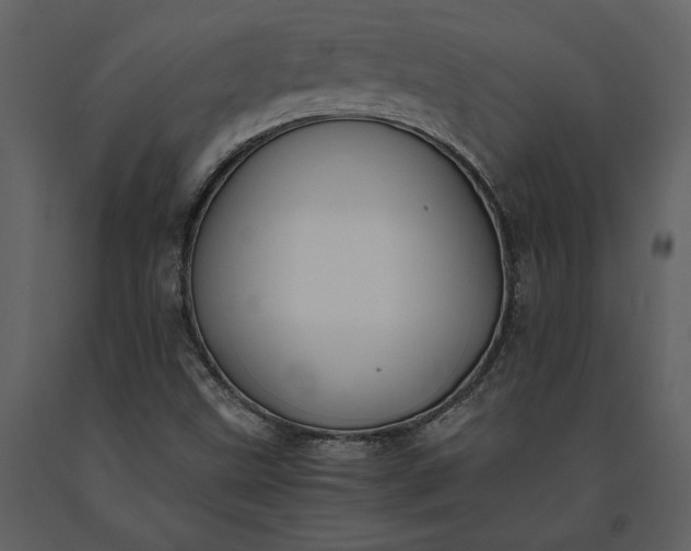 X0000091221499200708231618