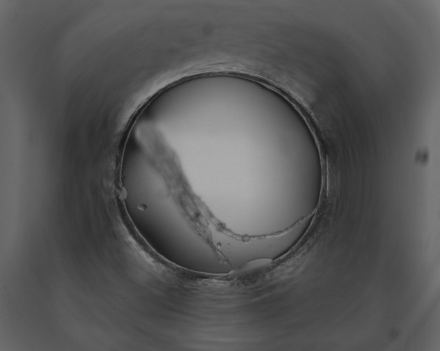 X0000091221500200708231618