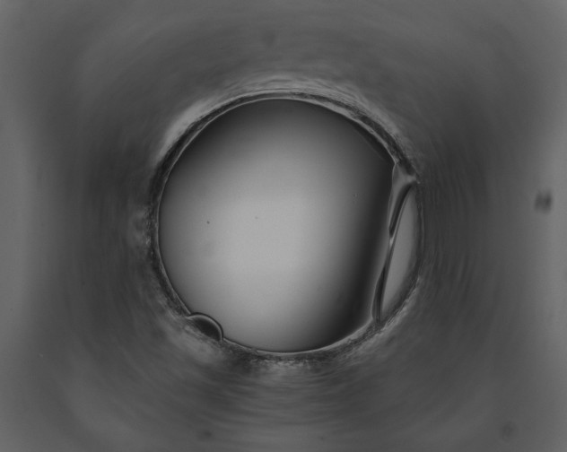 X0000091221501200708231618